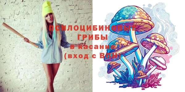 мет Заводоуковск