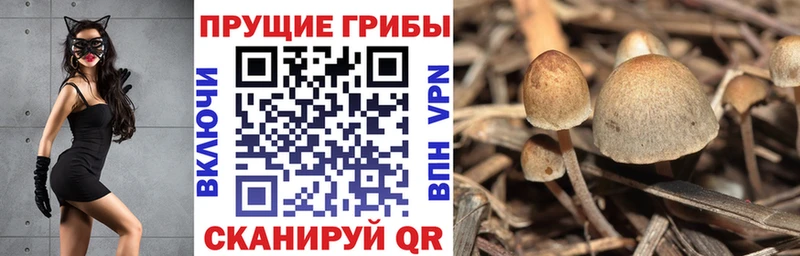 дарнет шоп  даркнет официальный сайт  Галлюциногенные грибы мухоморы  Красноярск  MEGA ссылка 