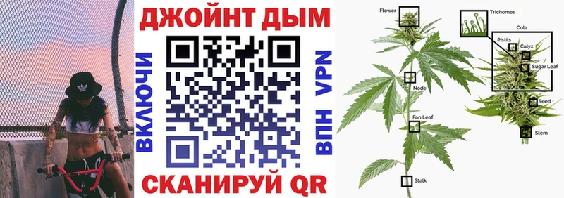 Бошки марихуана OG Kush как найти закладки Красноярск